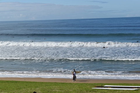 Great Ocean Road Tour Plus Koalas, Forest Walk And Morning Tea. - Inverell Accommodation 9