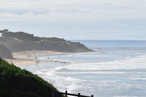 Great Ocean Road Tour Plus Koalas, Forest Walk And Morning Tea. - Inverell Accommodation 10