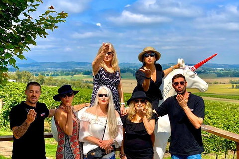 Yarra Valley Private & Bespoke Wine Tasting Tour - Inverell Accommodation 7
