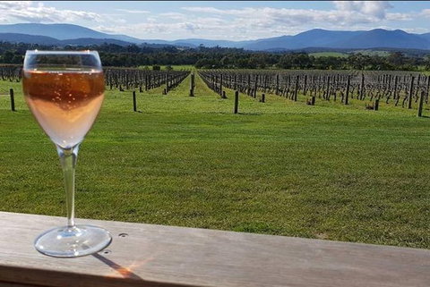 Yarra Valley: 7 Hours Guided Wine Tour With 2-Course Lunch - Inverell Accommodation 0