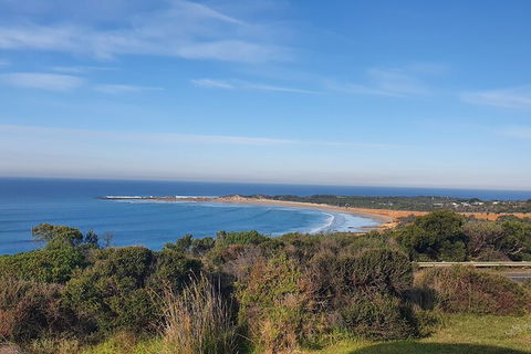 Private Great Ocean Road And Chocolaterie Tour With Tasting - Inverell Accommodation 5