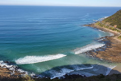 Private Great Ocean Road And Chocolaterie Tour With Tasting - Inverell Accommodation 7
