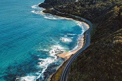 Private Great Ocean Road And Chocolaterie Tour With Tasting - Inverell Accommodation 6