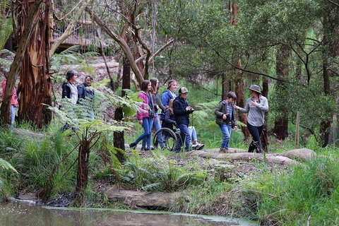 Walk With Wildlife: Guided Tour In Great Ocean Road - Inverell Accommodation 4