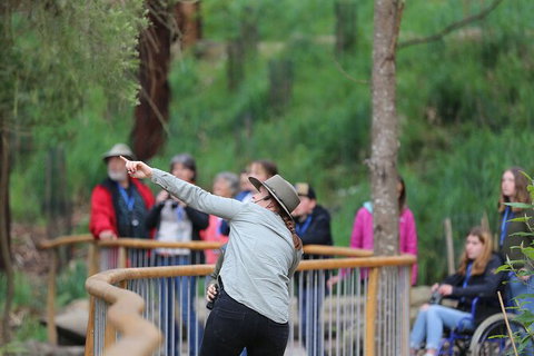 Walk With Wildlife: Guided Tour In Great Ocean Road - Inverell Accommodation 0