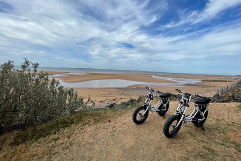 E-Bike Hire Super Cruzer In Phillip Island - Inverell Accommodation 3