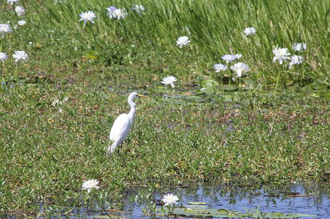 Darwin City Sights And Jumping Crocodile Cruise - Inverell Accommodation 1