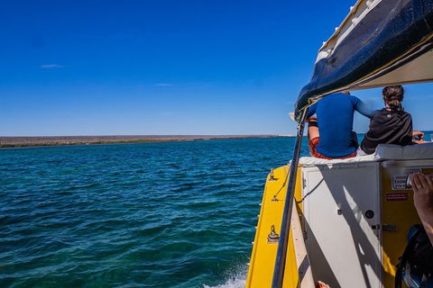 Ningaloo Immersion Private Charter - Inverell Accommodation 0