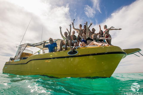Ningaloo Immersion Private Charter - Inverell Accommodation 9