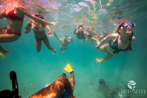 Ningaloo Immersion Private Charter - Inverell Accommodation 8