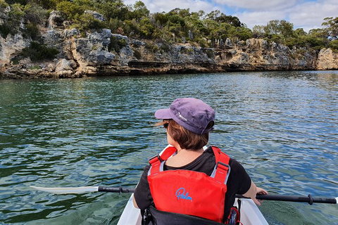 Cliffs And Caves Kayak Tour In Swan River - Inverell Accommodation 1