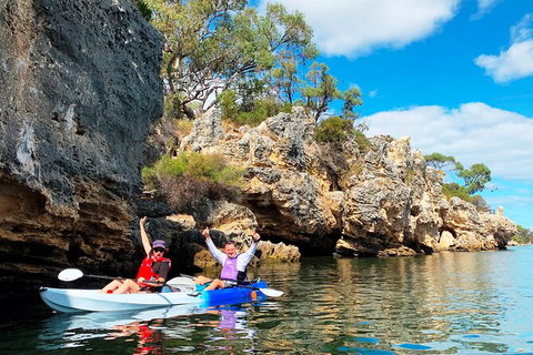 Cliffs And Caves Kayak Tour In Swan River - Inverell Accommodation 0