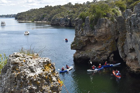 Cliffs And Caves Kayak Tour In Swan River - Inverell Accommodation 2