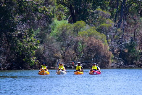 Private Guided River Kayak Tour - Inverell Accommodation 6