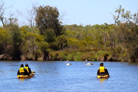 Private Guided River Kayak Tour - Inverell Accommodation 4