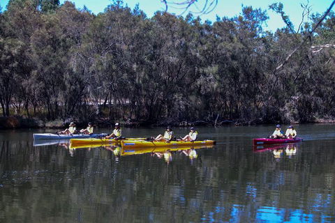 Private Guided River Kayak Tour - Inverell Accommodation 5