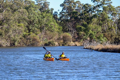 Private Guided River Kayak Tour - Inverell Accommodation 7