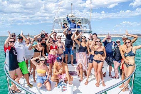 Full-Day Whale Sharks Swimming Experience On Ningaloo Reef - Inverell Accommodation 1