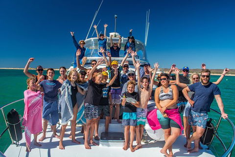 Full-Day Whale Sharks Swimming Experience On Ningaloo Reef - Inverell Accommodation 15