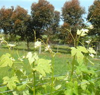 Barwon Ridge Wines - Inverell Accommodation
