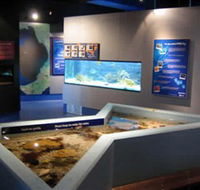 Marine and Freshwater Discovery Centre - Inverell Accommodation