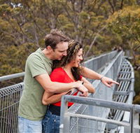 Valley of the Giants Tree Top Walk - Inverell Accommodation