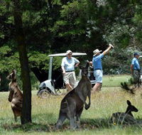 Glen Innes Golf Club - Inverell Accommodation