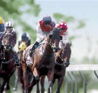 Colac Turf Club - Inverell Accommodation