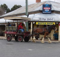 Bathurst Farm Experience - Inverell Accommodation