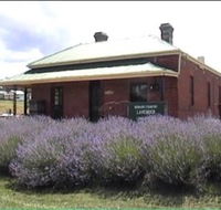 Lavender House in Railway Park - Inverell Accommodation