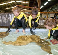 Australian Shark and Ray Centre - Inverell Accommodation