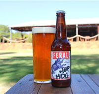 Feral Brewing Company - Inverell Accommodation