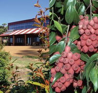 Bushfood Factory and Cafe - Inverell Accommodation
