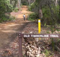 Old Timberline and Sidings Rail Trails - Inverell Accommodation