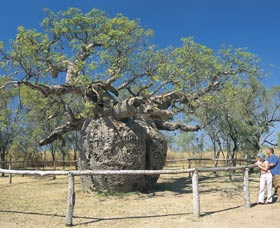 St George Ranges WA Inverell Accommodation