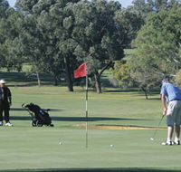 Spalding Park - Inverell Accommodation