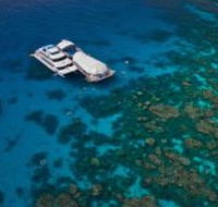 Great Adventures Reef and Green Island Cruises - Inverell Accommodation