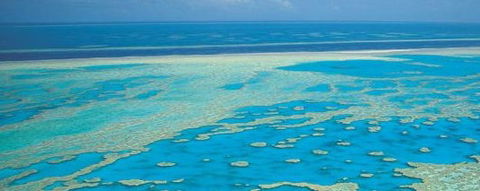 Aristocat Snorkel And Scuba Port Douglas - Inverell Accommodation 3