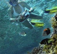 Calypso Reef Charters - Inverell Accommodation