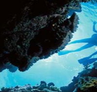 Deep Sea Divers Den - Inverell Accommodation