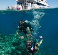 Down Under Cruise and Dive - Inverell Accommodation