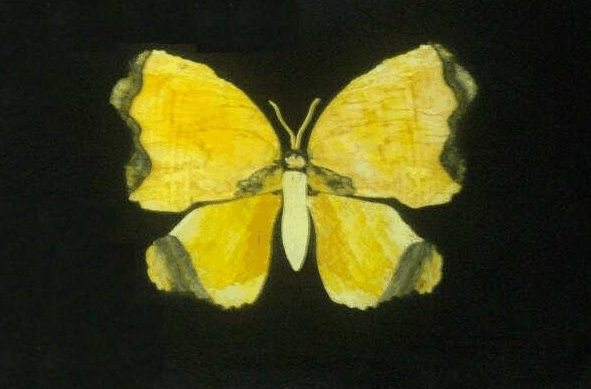 Ashworths - Inverell Accommodation 0