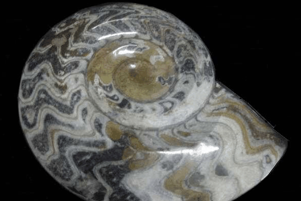 Ashworths - Inverell Accommodation 2