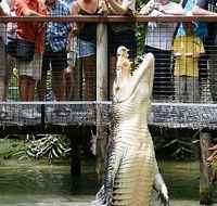 Hartley's Crocodile Adventures - Inverell Accommodation
