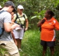 Ingan Tours - Spirit of the Rainforest Tour - Inverell Accommodation