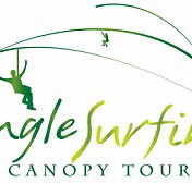 Jungle Surfing Canopy Tours and Jungle Adventures Nightwalks - Inverell Accommodation