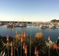 Mantaray Charters - Inverell Accommodation