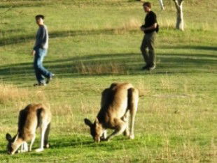 Wallangarra QLD Inverell Accommodation
