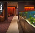 AB Hotel - Inverell Accommodation