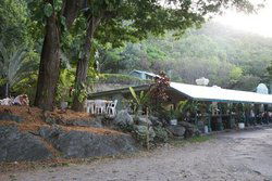 Ellis Beach Bar & Grill - Inverell Accommodation 0